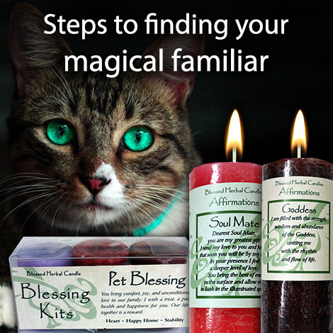 LTM Steps to finding your magical familiar